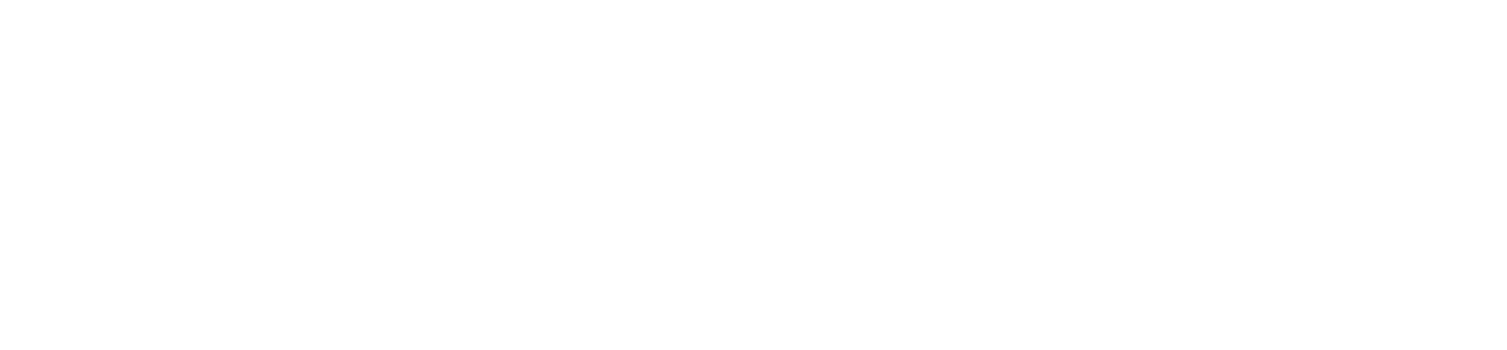 AssistNow Logo (White)